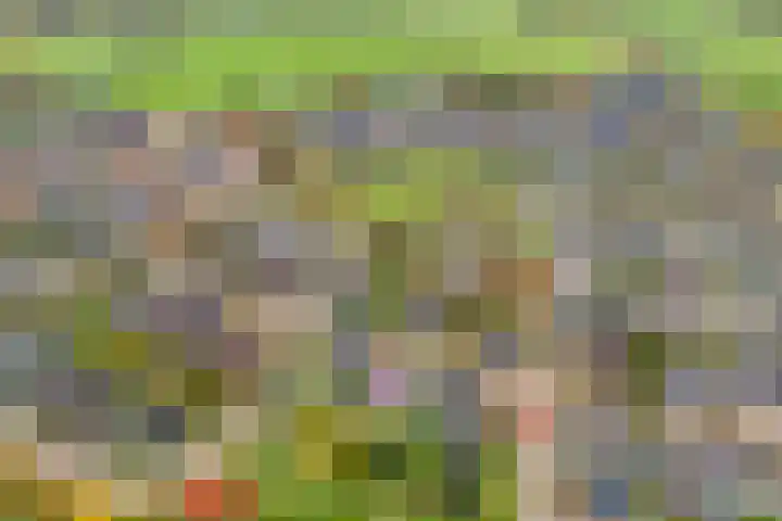 de Spinde 10 Heino thumbnail 67