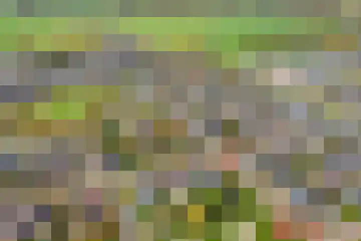 de Spinde 10 Heino thumbnail 68
