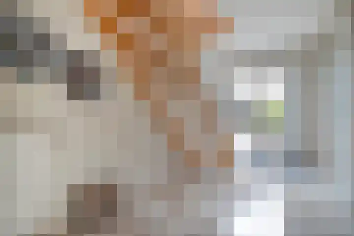 de Spinde 10 Heino thumbnail 7