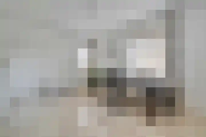 de Spinde 10 Heino thumbnail 8