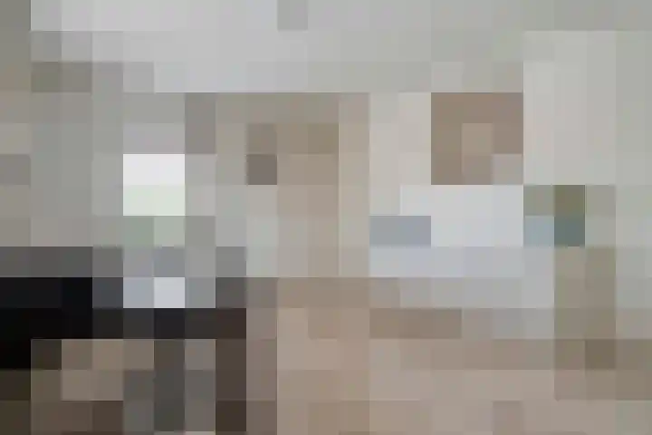 de Spinde 10 Heino thumbnail 9
