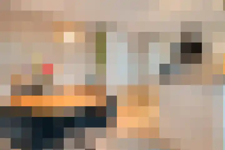 De Spinde 103 Hardenberg thumbnail 18