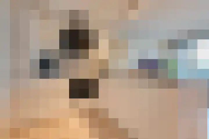 De Spinde 103 Hardenberg thumbnail 19