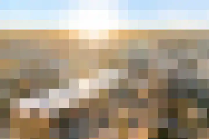 De Spinde 103 Hardenberg thumbnail 38