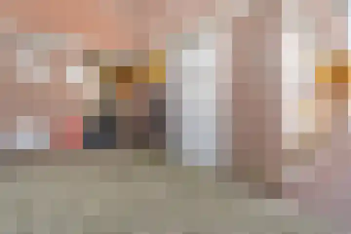 De Spinde 103 Hardenberg thumbnail 5