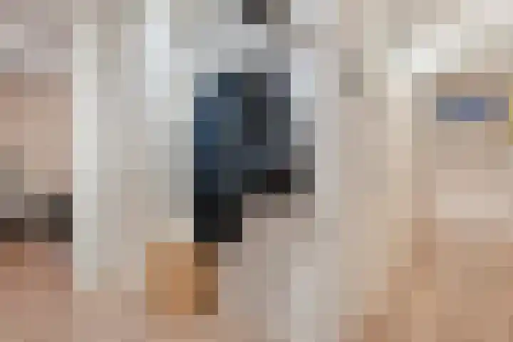 De Spinde 104 Hardenberg thumbnail 18