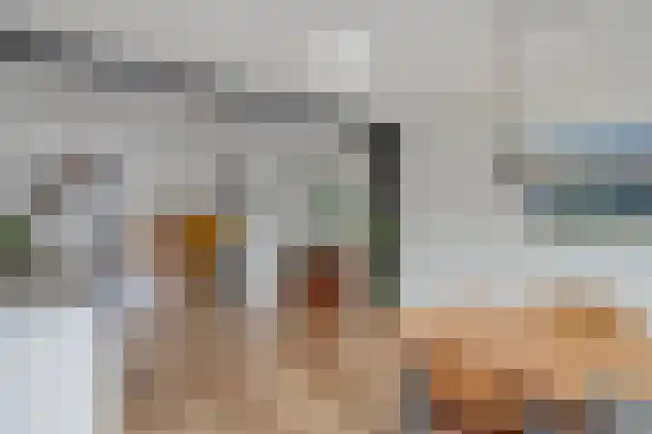 de Spinde 13 Heino thumbnail 14