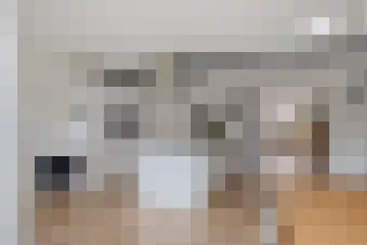 de Spinde 13 Heino thumbnail 15