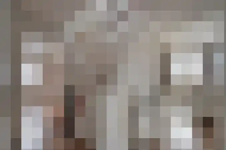 de Spinde 13 Heino thumbnail 20