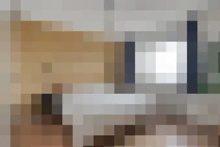 de Spinde 13 Heino thumbnail 21