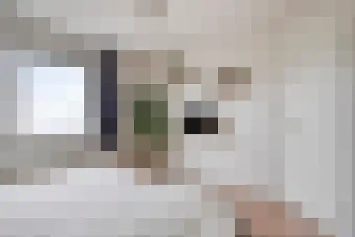 de Spinde 13 Heino thumbnail 22