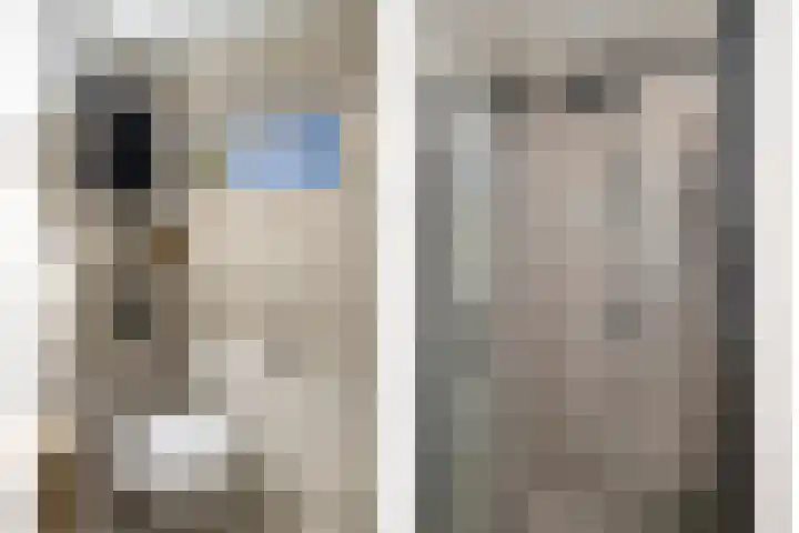 de Spinde 13 Heino thumbnail 25