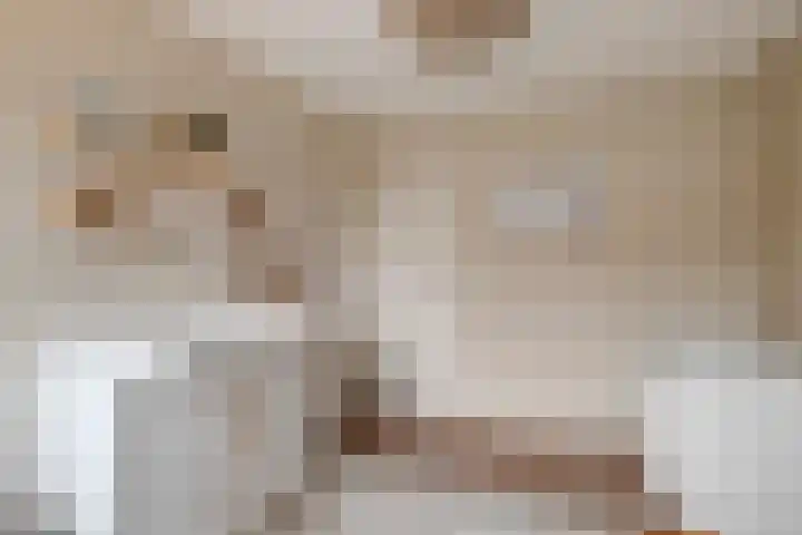 de Spinde 13 Heino thumbnail 27