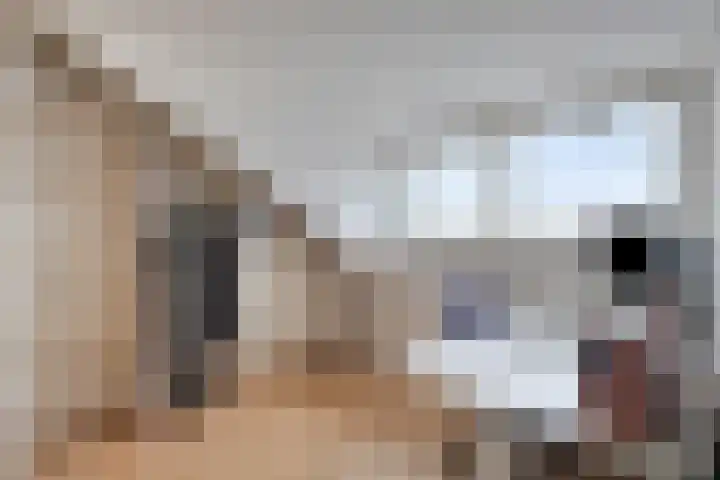 de Spinde 13 Heino thumbnail 34