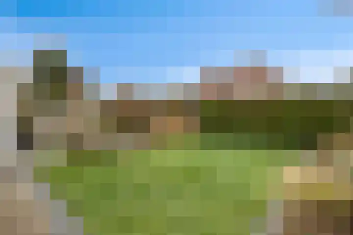 de Spinde 13 Heino thumbnail 42