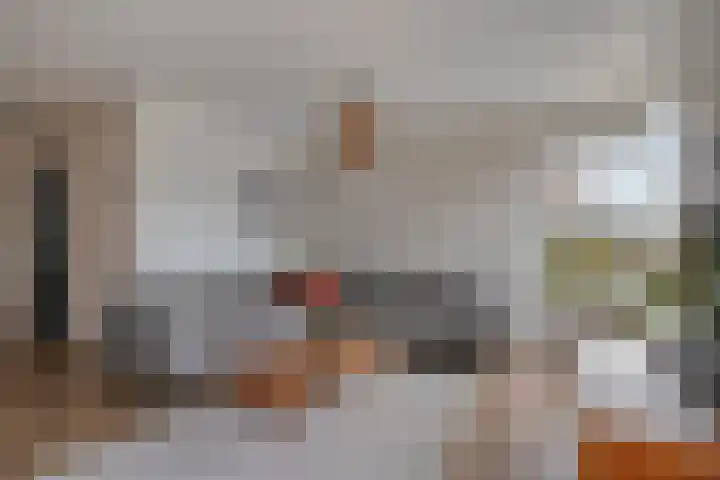 de Spinde 13 Heino thumbnail 8