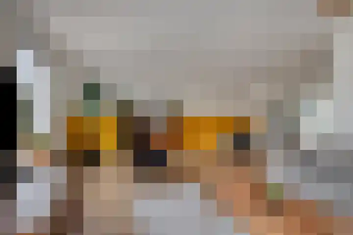 de Spinde 13 Heino thumbnail 9