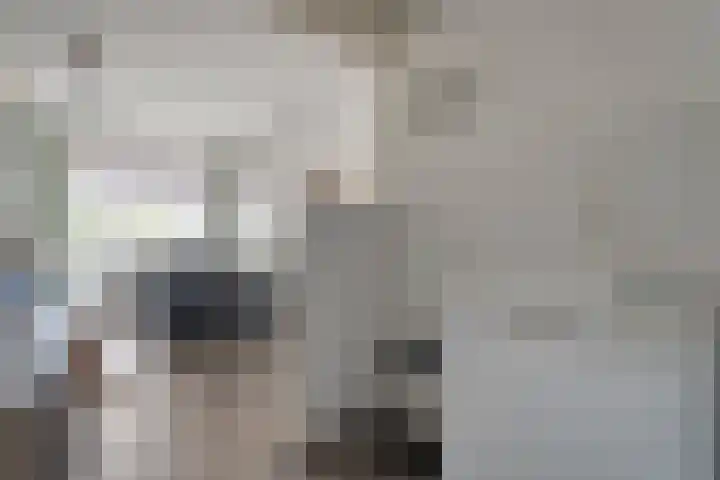 De Spinde 204 Hardenberg thumbnail 18