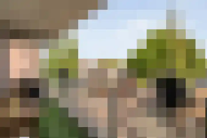 De Spinde 204 Hardenberg thumbnail 19