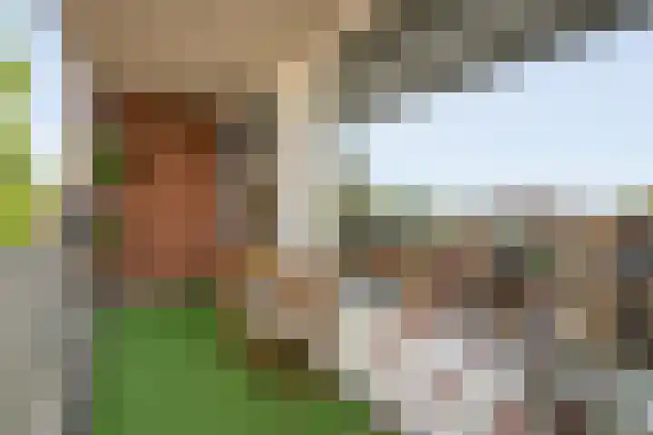 De Spinde 204 Hardenberg thumbnail 20
