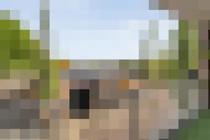 De Spinde 204 Hardenberg thumbnail 21