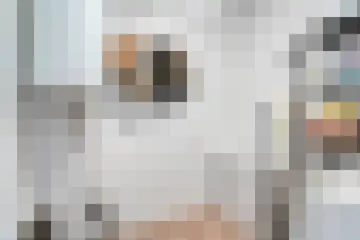 De Spinde 204 Hardenberg thumbnail 22