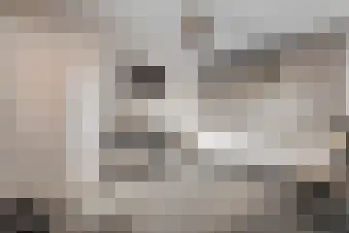 De Spinde 204 Hardenberg thumbnail 23