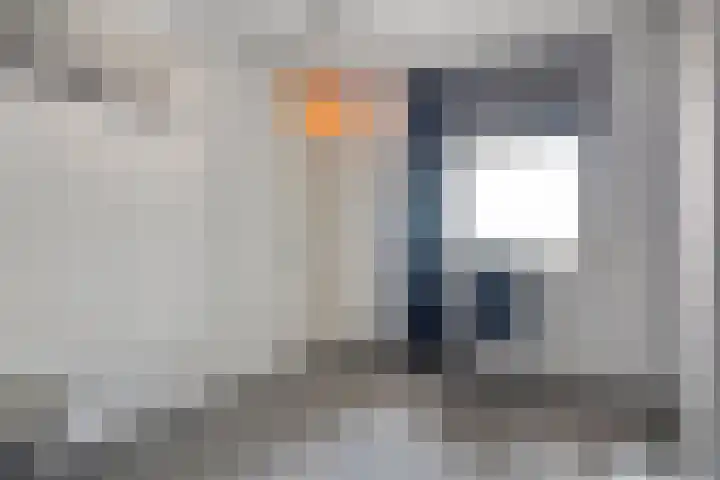 De Spinde 204 Hardenberg thumbnail 24