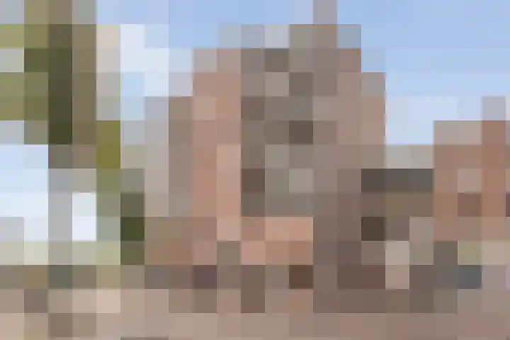 De Spinde 204 Hardenberg thumbnail 4