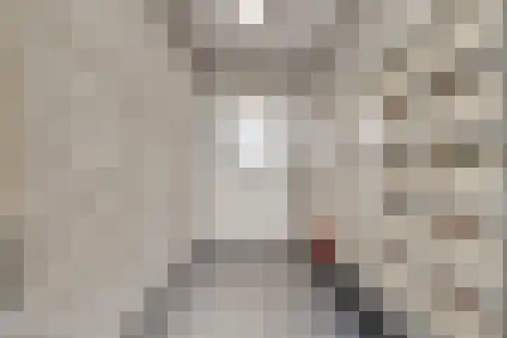 De Spinde 204 Hardenberg thumbnail 6