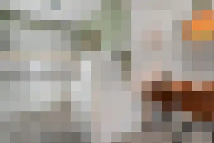 De Spinde 302 Hardenberg thumbnail 12
