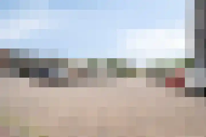 De Spinde 302 Hardenberg thumbnail 23