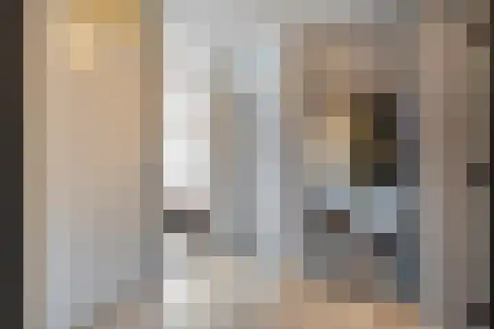De Spinde 302 Hardenberg thumbnail 6