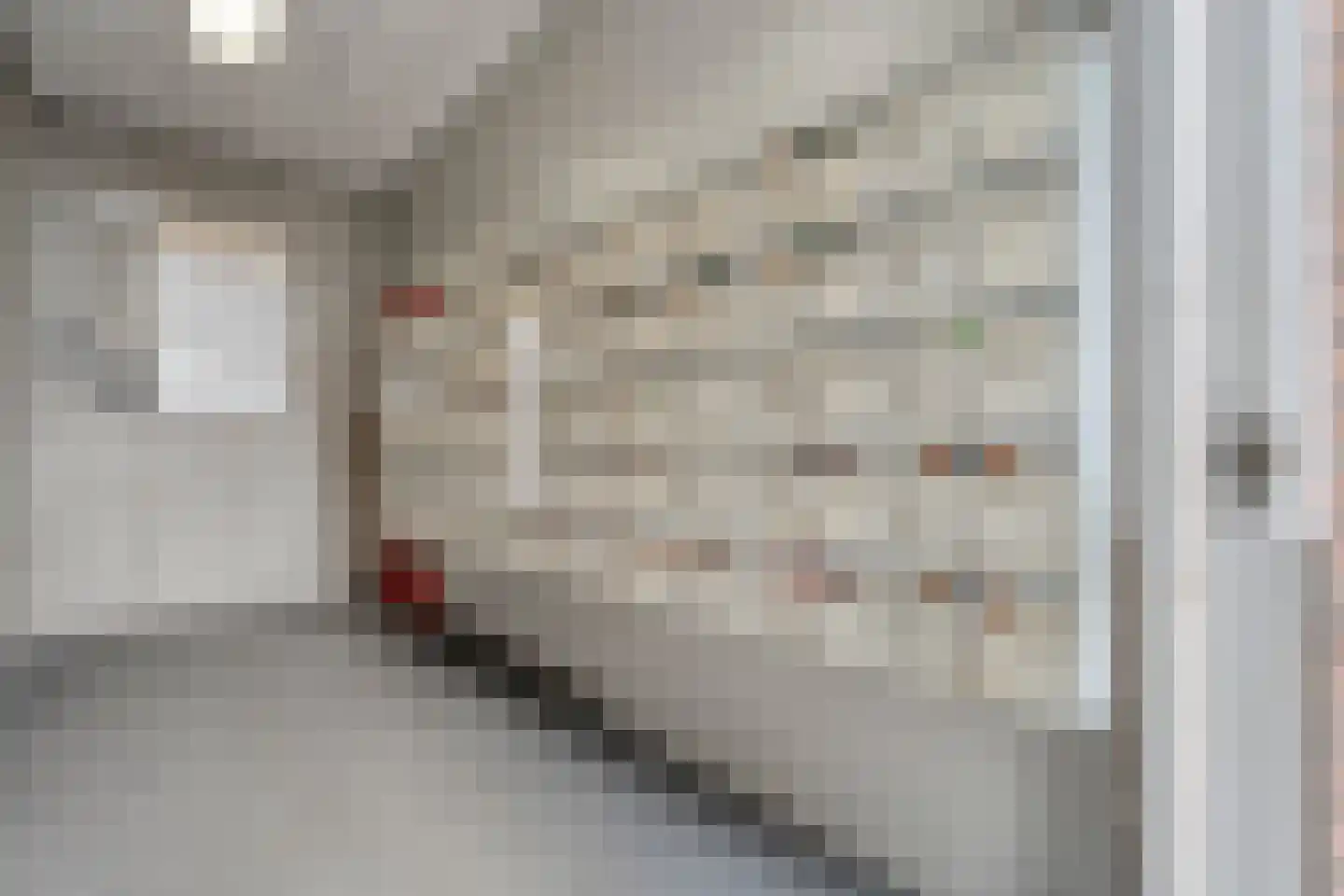 De Spinde 403 Hardenberg thumbnail 8