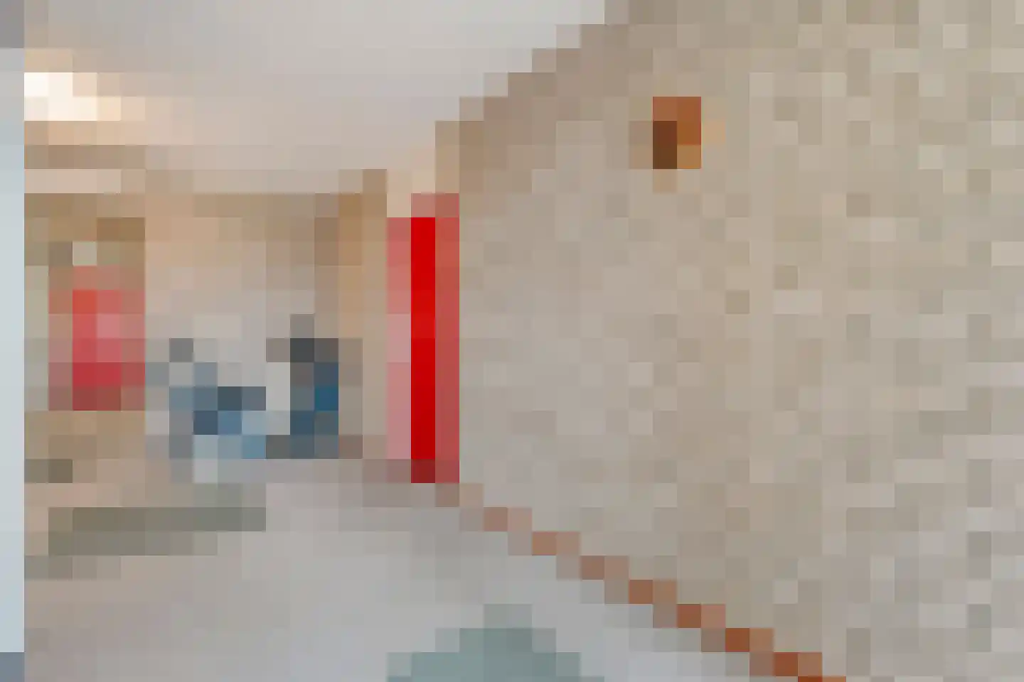 De Spinde 403 Hardenberg thumbnail 9