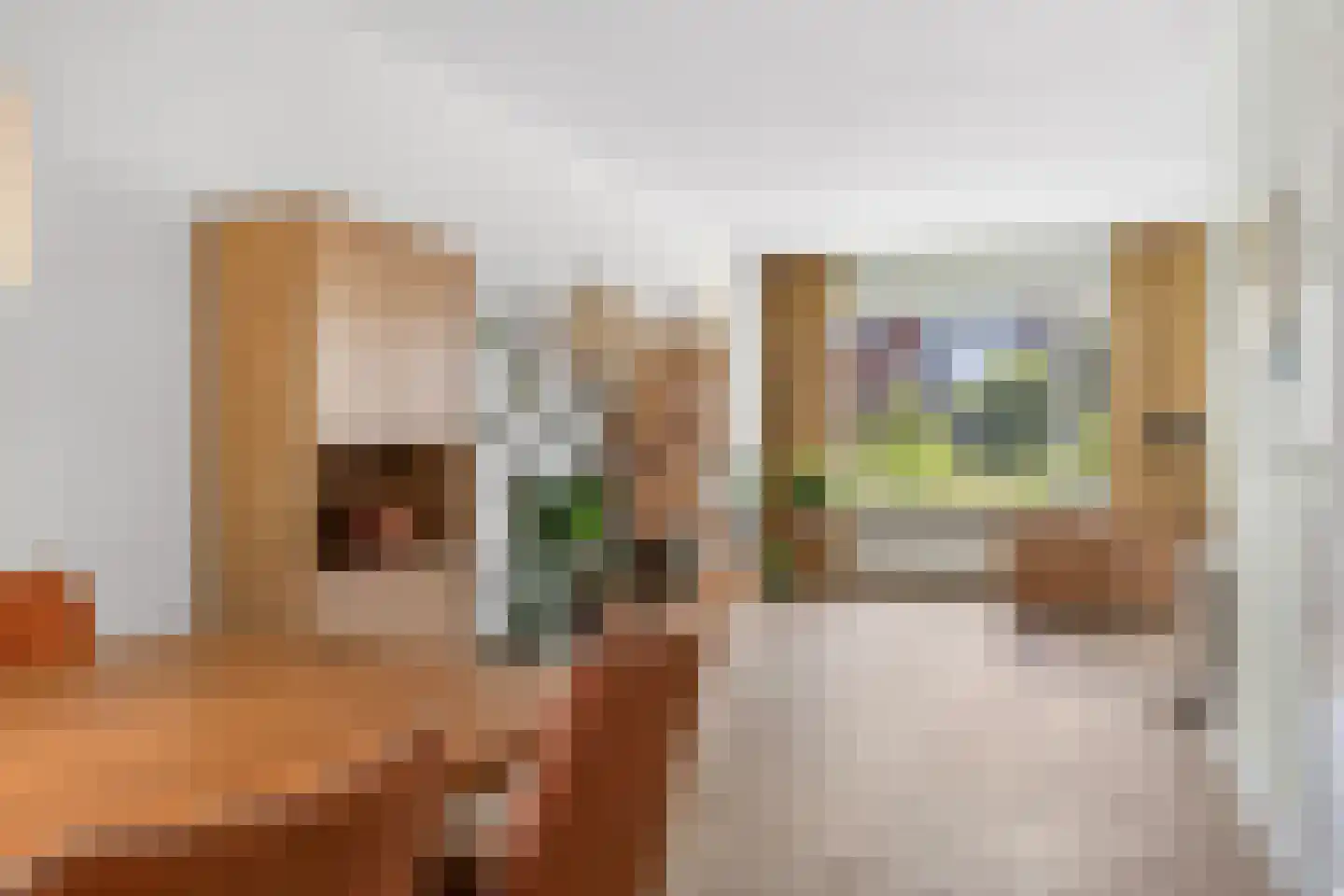 de Spinde 64 Raalte thumbnail 10