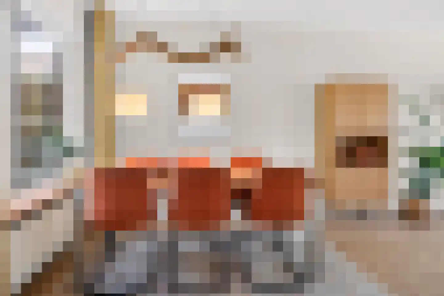 de Spinde 64 Raalte thumbnail 12
