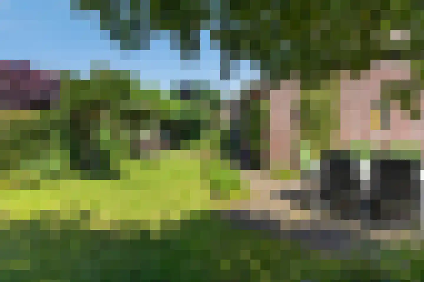 de Spinde 64 Raalte foto 3