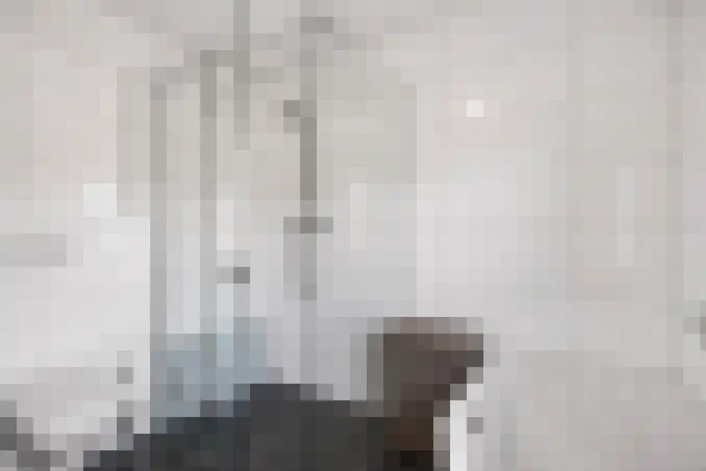 de Spinde 64 Raalte thumbnail 30