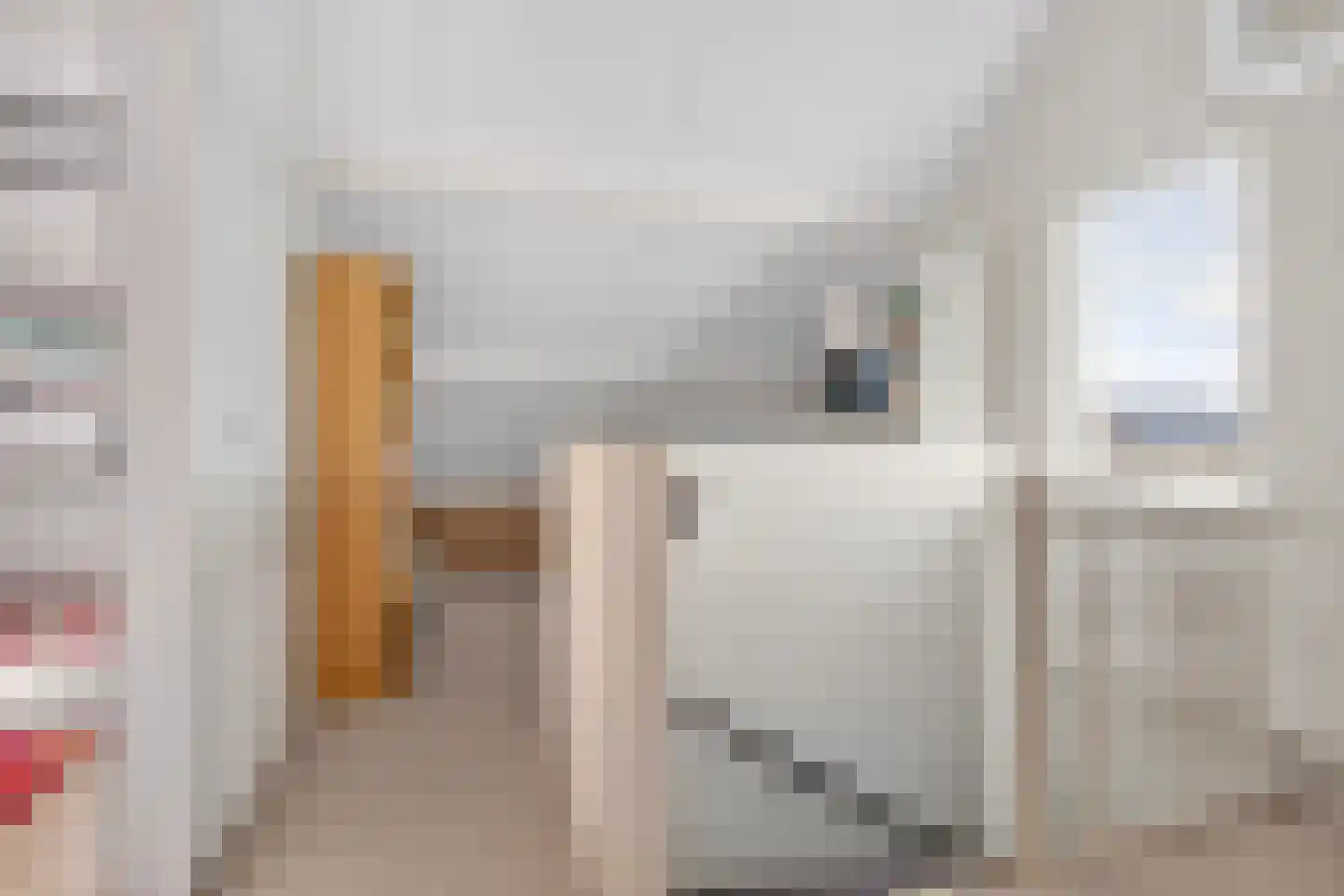 de Spinde 64 Raalte thumbnail 33
