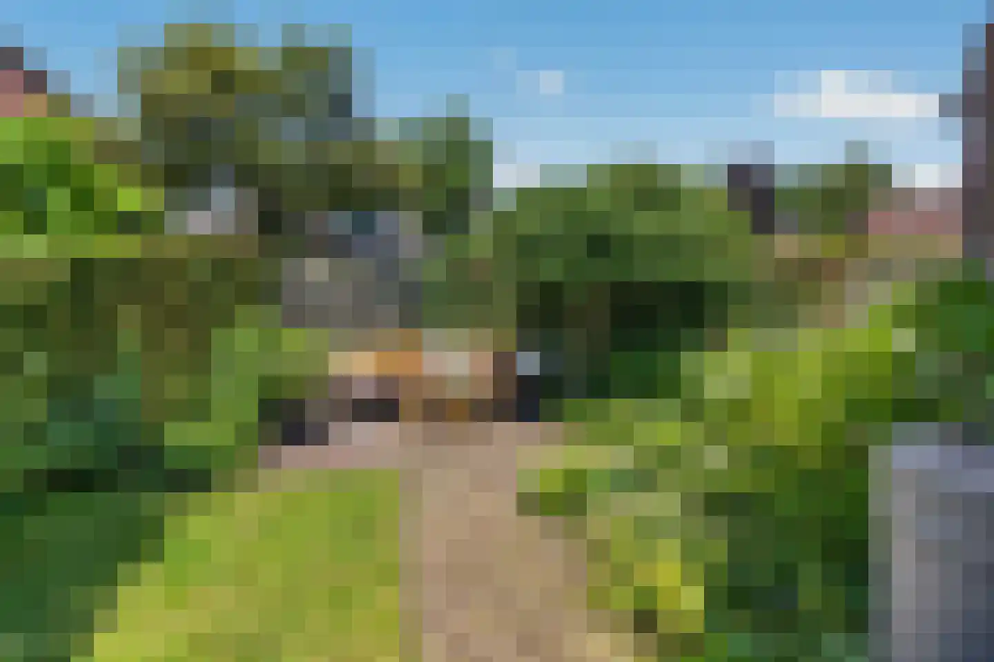 de Spinde 64 Raalte thumbnail 38