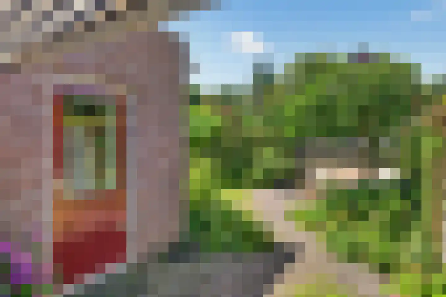 de Spinde 64 Raalte thumbnail 39
