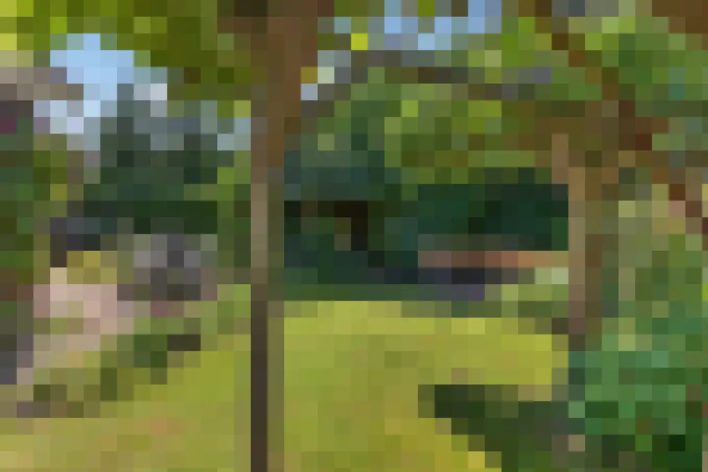 de Spinde 64 Raalte thumbnail 41
