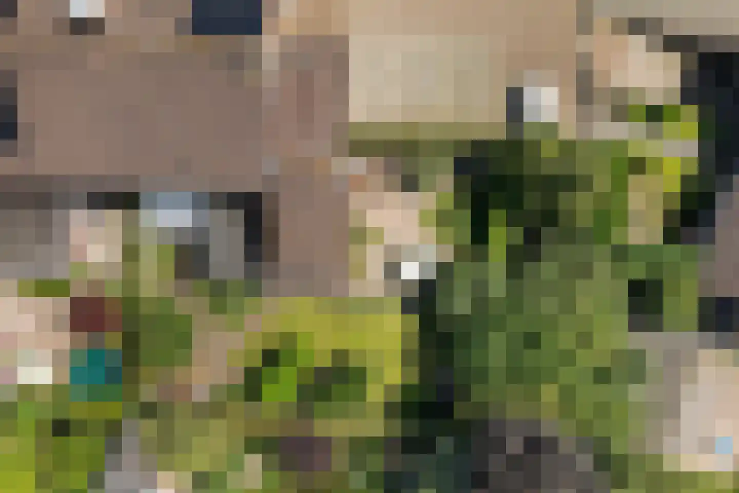 de Spinde 64 Raalte thumbnail 43