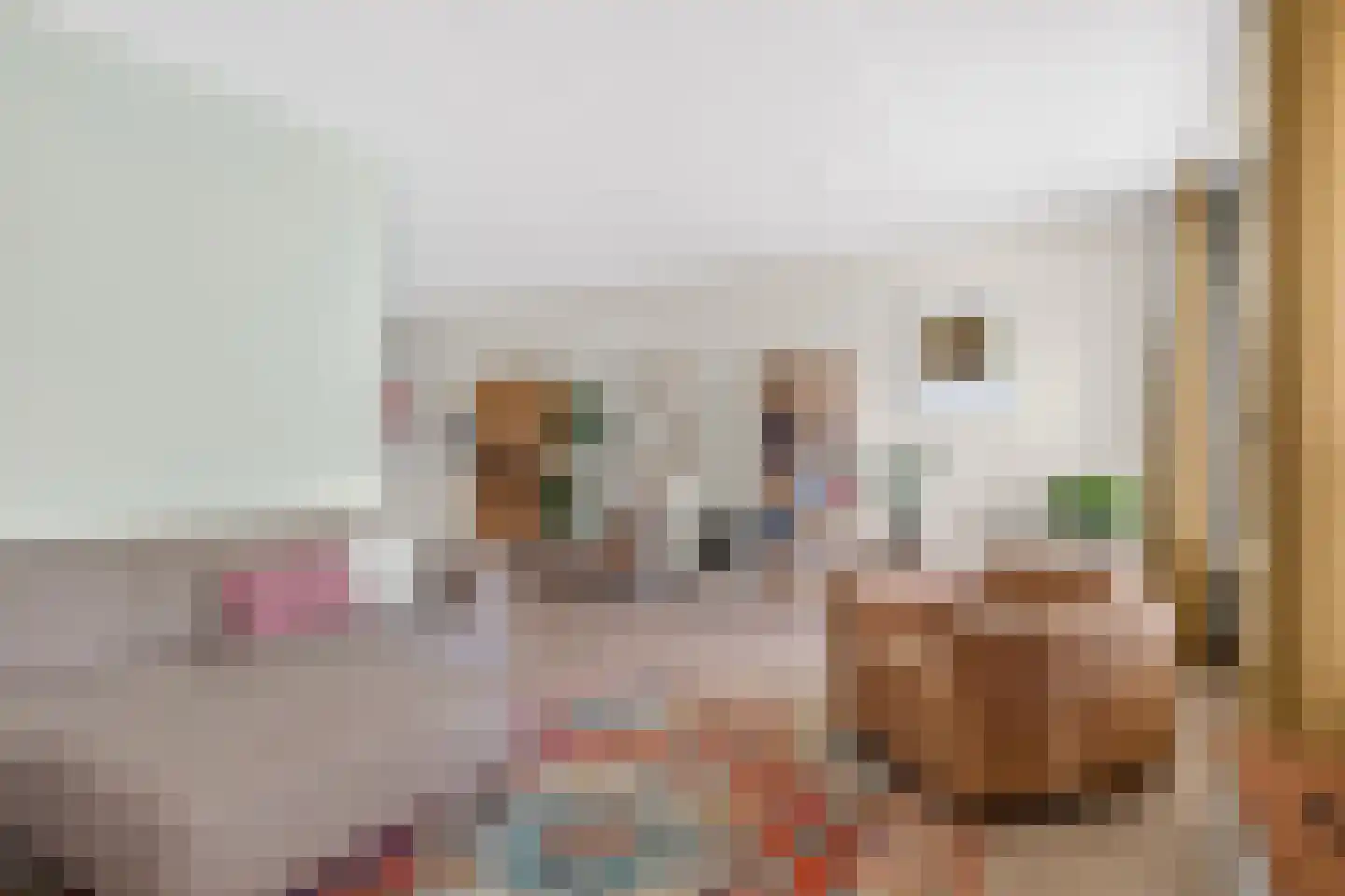 de Spinde 64 Raalte thumbnail 6