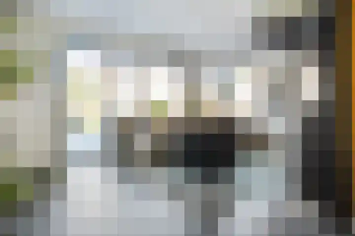 de Spinde 76 Raalte thumbnail 11