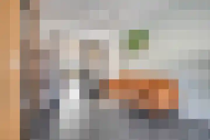 de Spinde 76 Raalte thumbnail 12