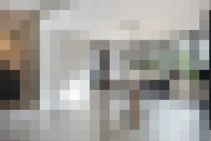 de Spinde 76 Raalte thumbnail 14