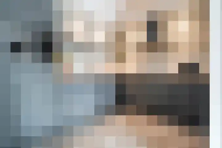 de Spinde 76 Raalte thumbnail 16