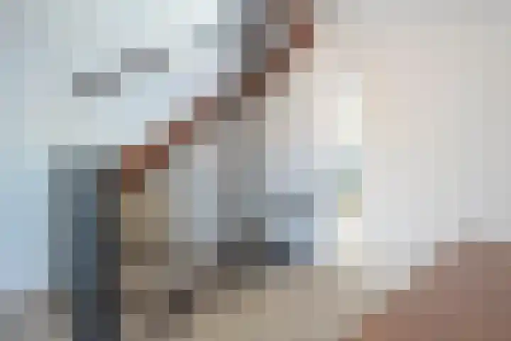 de Spinde 76 Raalte thumbnail 24